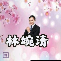 林婉清